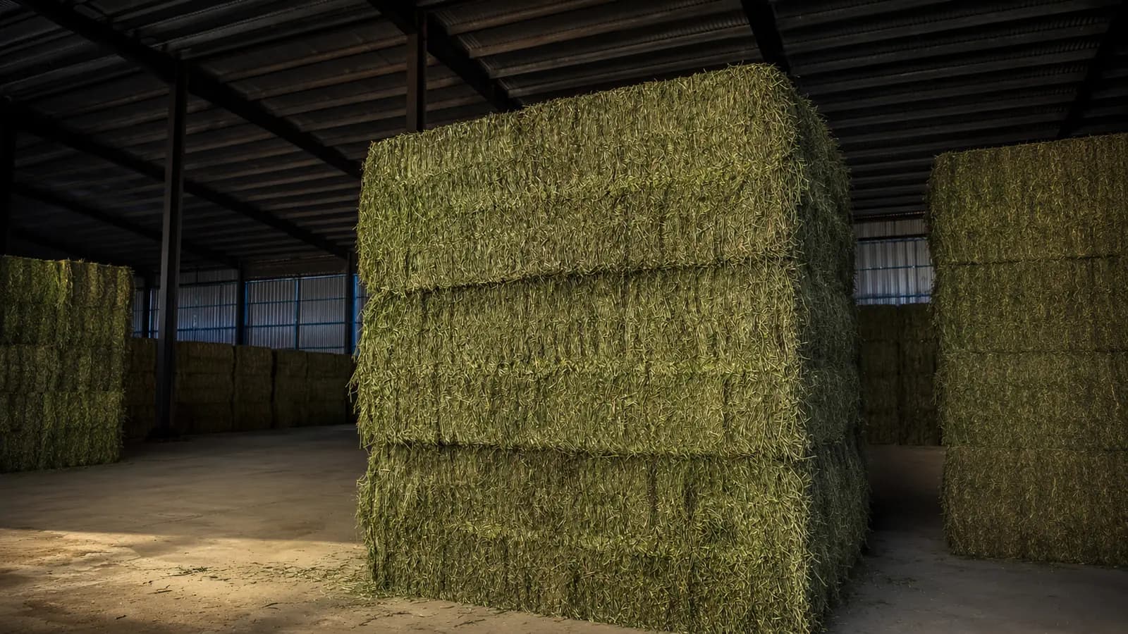 Megafardos de alfalfa